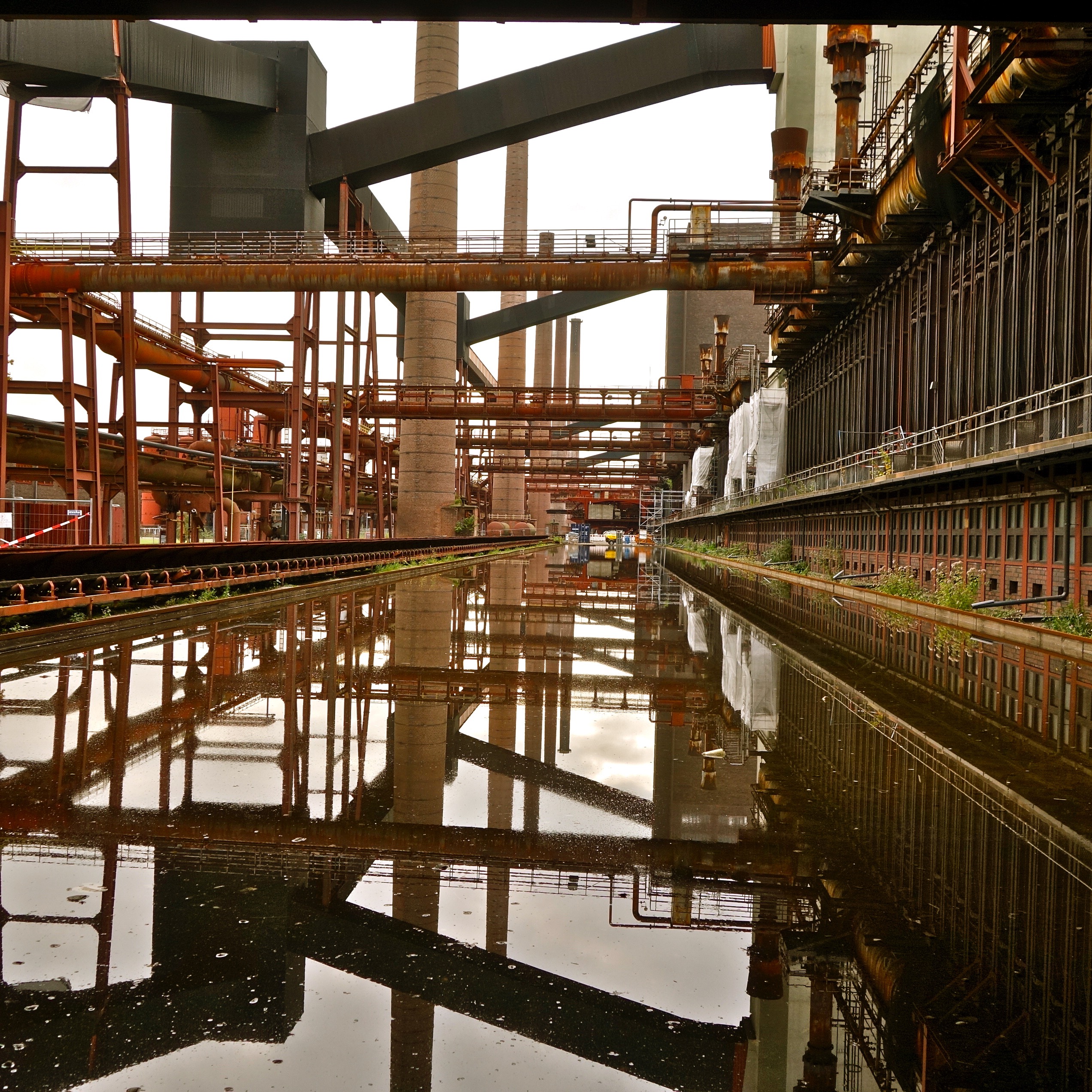 Daniel Truniger — Visual Art