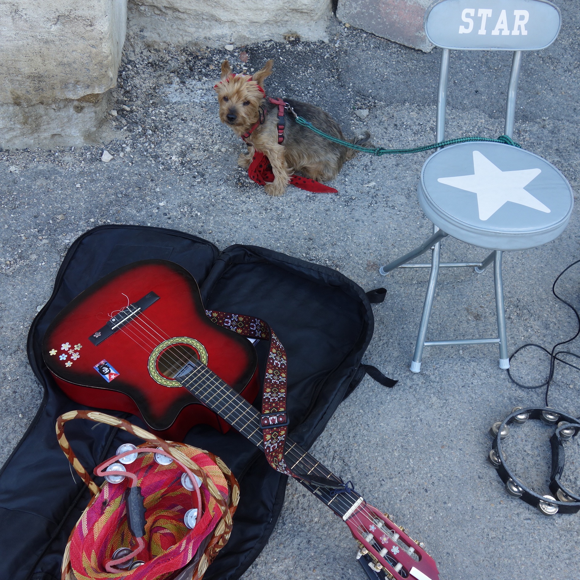 Daniel Truniger — Visual Art