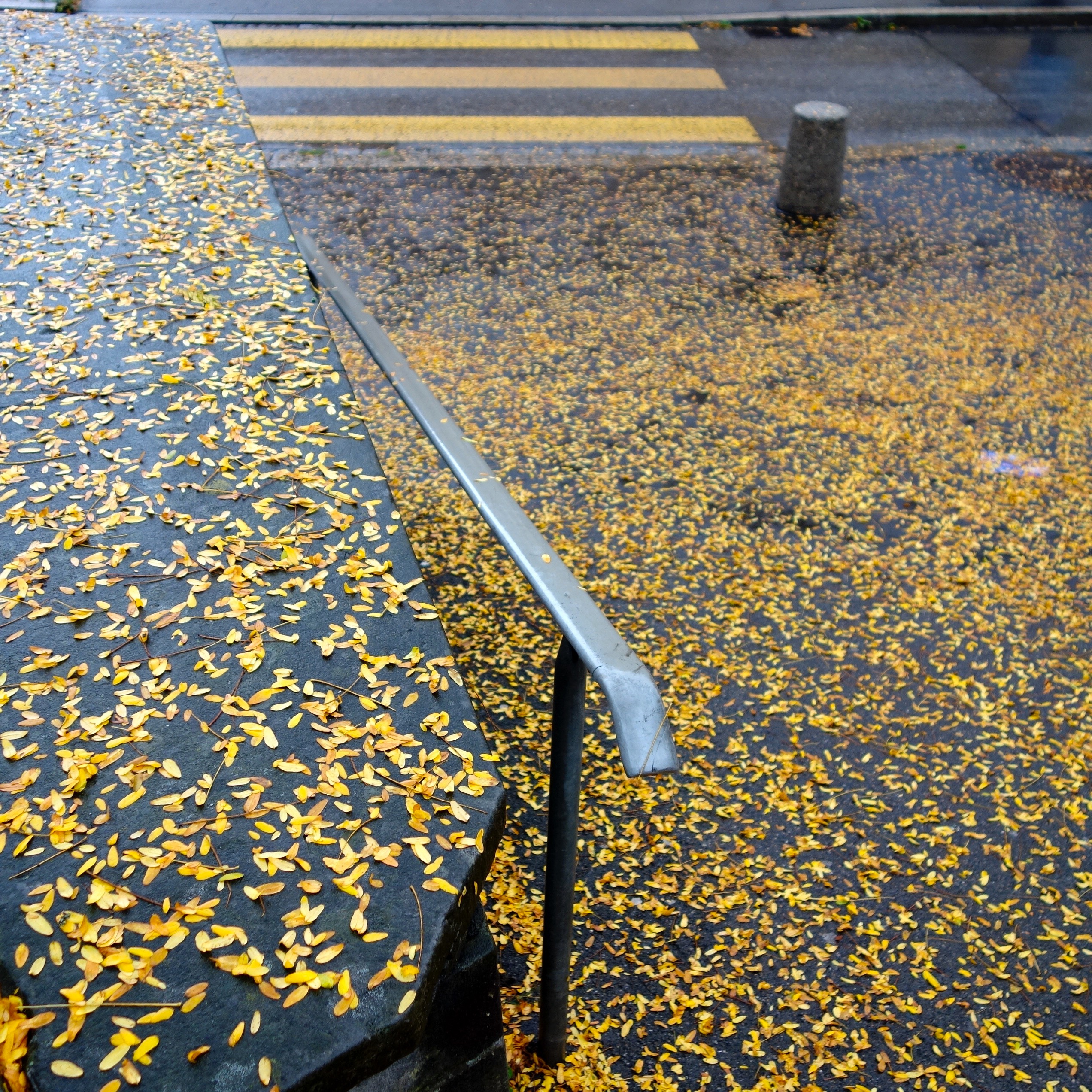 Daniel Truniger — Visual Art