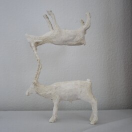 Daniel Truniger — Visual Art