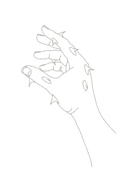 Daniel Truniger — Visual Art