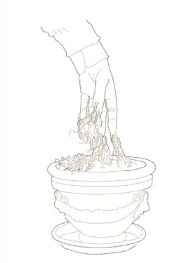 Daniel Truniger — Visual Art