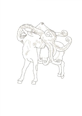 Daniel Truniger — Visual Art