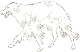 Daniel Truniger — Visual Art