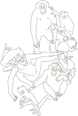 Daniel Truniger — Visual Art