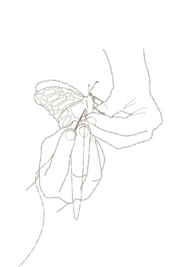 Daniel Truniger — Visual Art